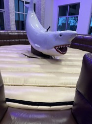 Mechanical Shark Rental